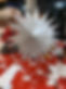 PXL_20221117_192546595.jpg