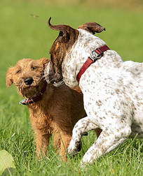 2020_09_10_17411_edited.jpg