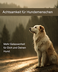 Achtsamkeit für Hundemenschen.png