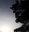20201221_150915_edited
