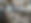IMG_2369.jpeg