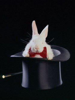 MAGIA CON CONEJITO