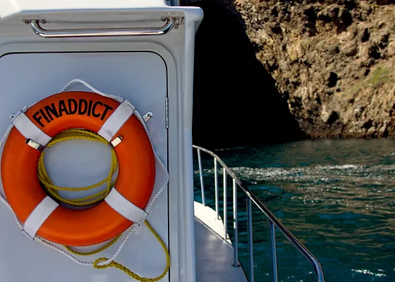 Santa Barbara Sea Charters Fishing Charters Finaddict