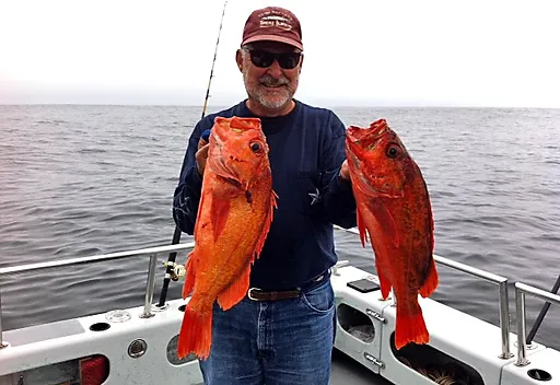 Santa Barbara Sea Charters Fishing Charters Santa Barbara