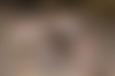 Bumpus in the Road: New study suggests vehicle-induced selection reduces snake body size