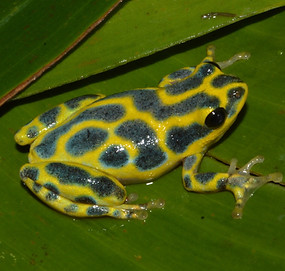 DSC_2688_edited.jpg