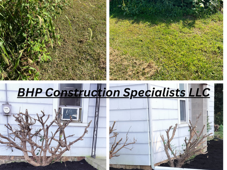 Landscaping and yard clean up