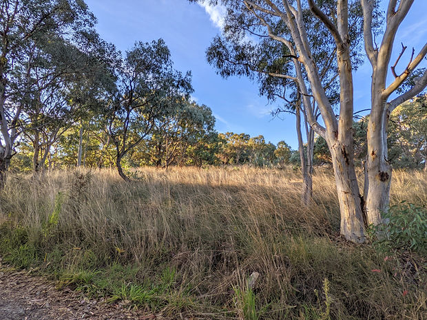 PXL_20220414_070230681 (1).jpg