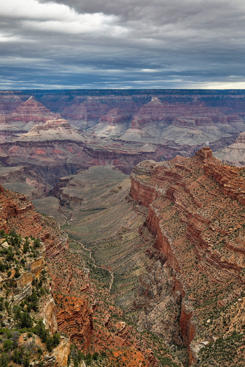 Grand Canyon National Park. ©Andrea Shandri Photography