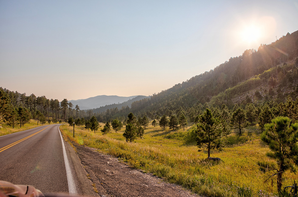 Black Hills National Forest, ©2024 Shandri Photography