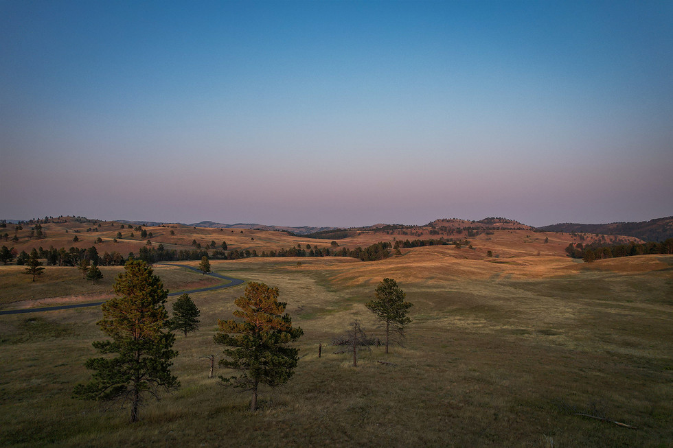 Black Hills National Forest, ©2024 Shandri Photography