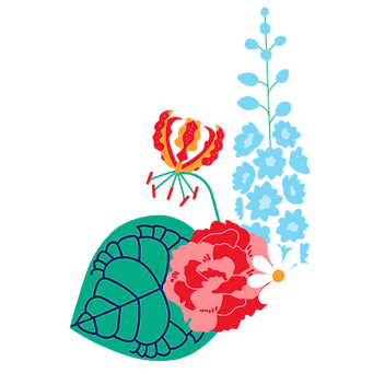 delphinium gloriosa carnation daisy clarinervium