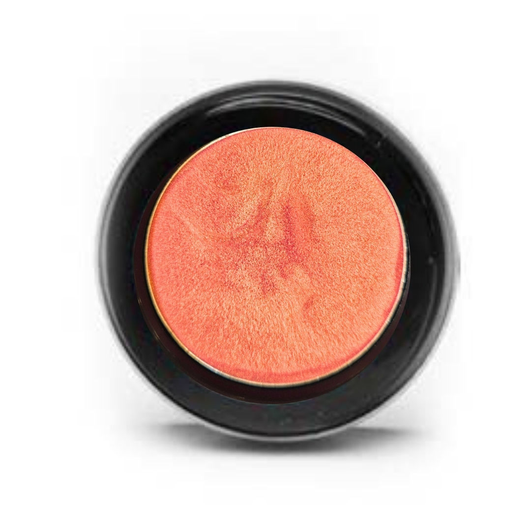 Golden Rose Highlight