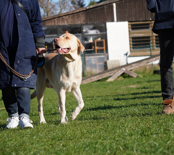 2025-03-29 16.08.07-1.JPG