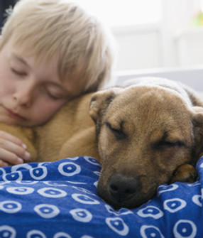 Hund, Kind (2017_06_05 14_57_22 UTC).jpg