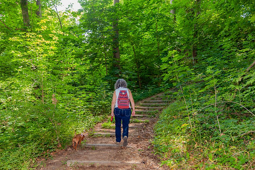 Mature woman with her dog with her back to the camera climbing a hill up a stone staircase