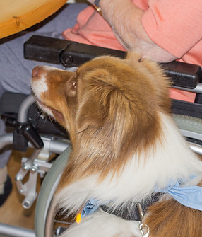 Rollstuhl (2017_06_05 14_57_22 UTC).jpg