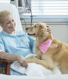 Hund Therapie (2017_06_05 14_57_22 UTC).jpg