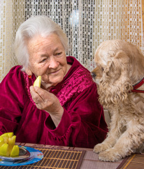 Hund und Senior (2017_06_05 14_57_22 UTC).jpg