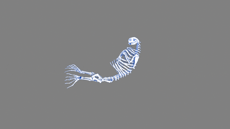 otter_comp_16gif