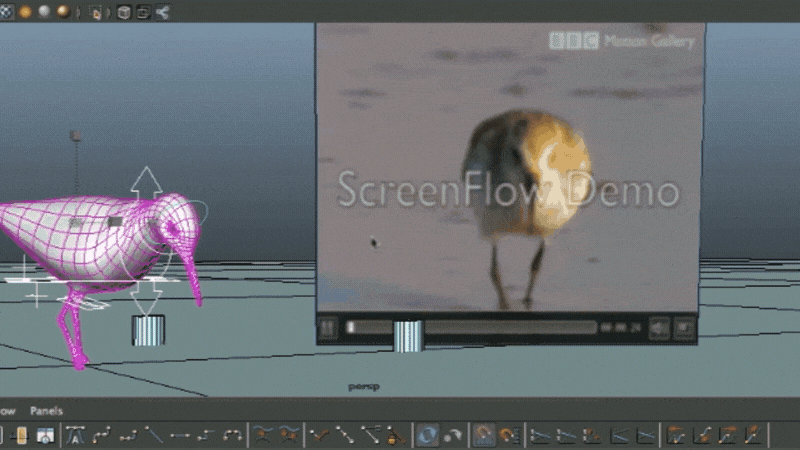 bird_rigsa_1gif