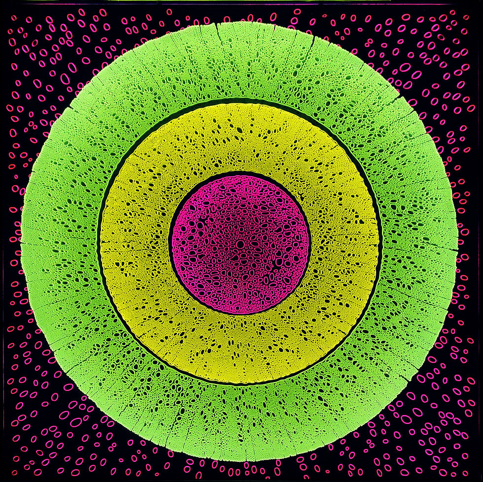ANTONIA PAPATZANAKI | CELLULAR