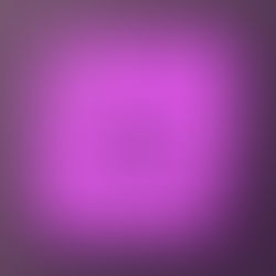 Theorems 4 – Botanologies: Ecology Issues in Contemporary Visual Arts Practices | October 24 – November 16, 2025