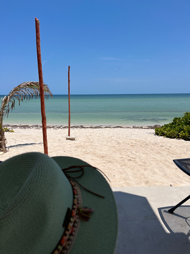 Shoreline from guest vantage point