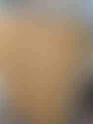 door trim detail ( wood) Sara