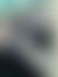 VW stick shift with logo