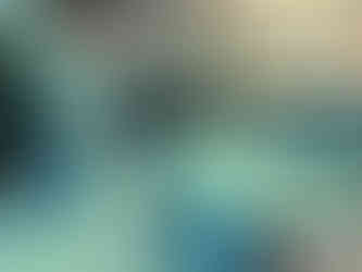 vw beetle passenger side sideview mirror