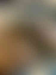 Finished Smurf custom interior...