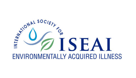 ISEAI logo