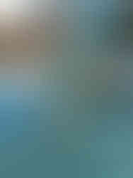 driver rear view side mirror vw beetle