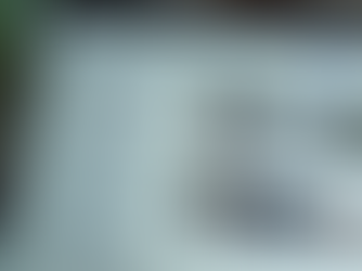 Search results on a computer screen