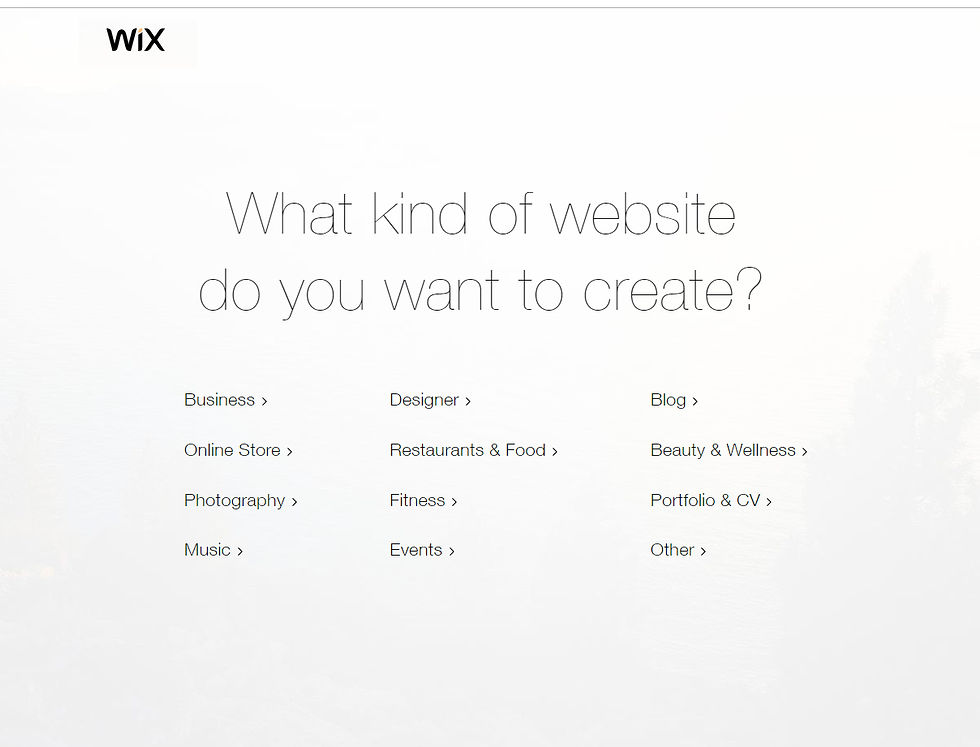WEB wix 1