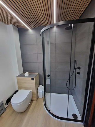 modern bathroom with toilet and shower