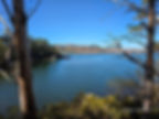 A serene lakeside scene with a tree in the foreground and a small boat on the water under blue skies