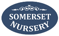 Somerset Nursery logo in a blue oval.