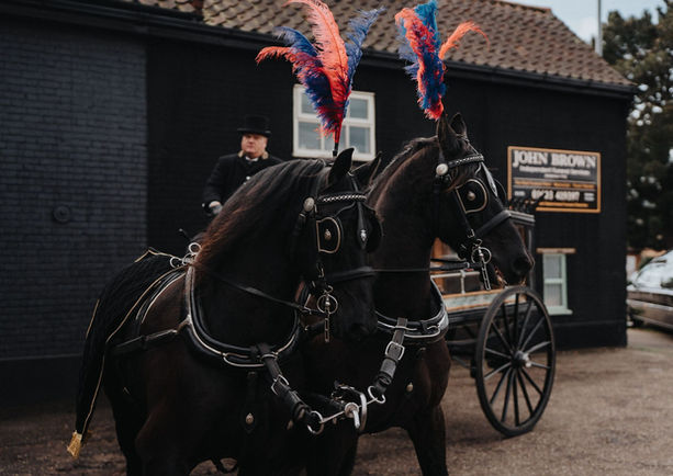 Two black horses ready for funeral service, red and blue headdresses 