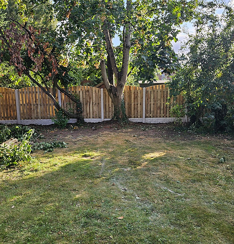 Big and empty garden, nice green trees in the background, dying grass