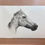 Thumbnail: Horse. A4 & A3 Fine Art Print (Giclée)