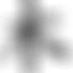 Chinese character for Tree