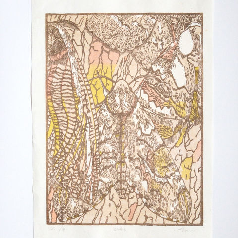 various moths camouflaged with tree bark. Printed in the tradition of japanese woodblock printmaking with watercolour. This print is in browns, orange, and yellow.