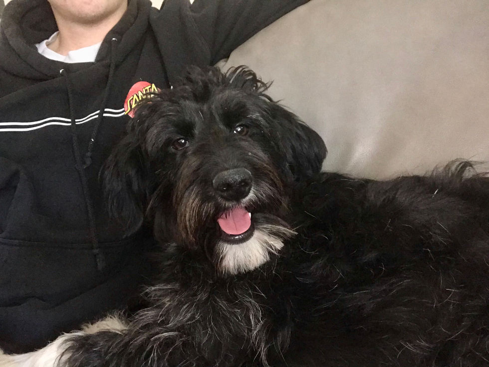 Lady 1 yr