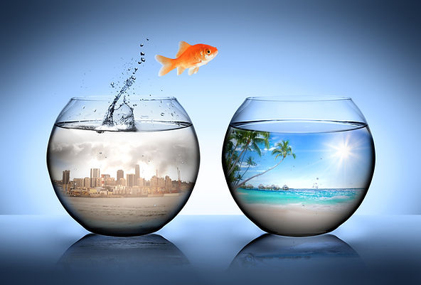 Fotolia_75590056_S.jpg