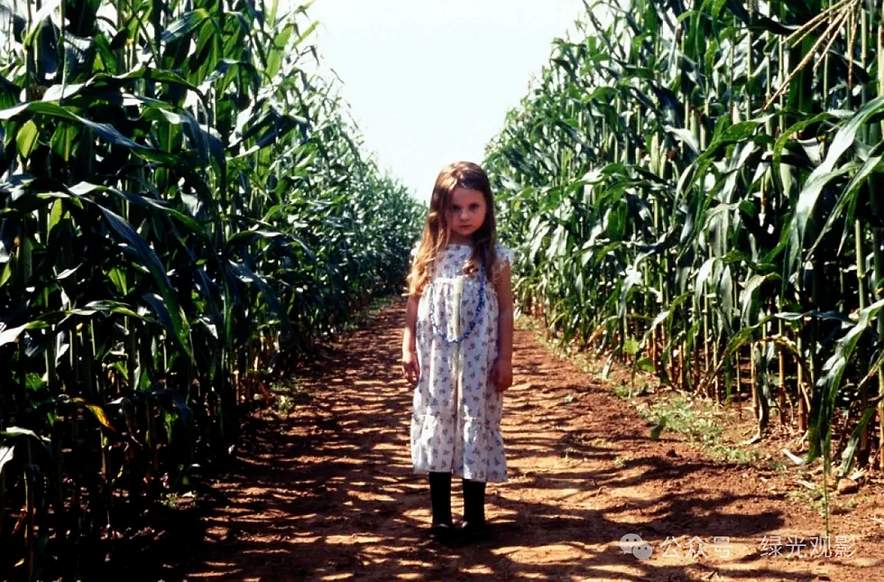 Movie Stills from Signs