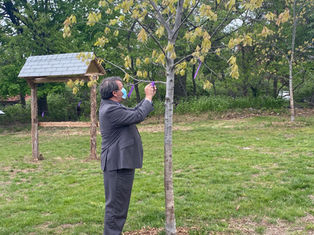 Westchester County Remembers Over 1,100 Residents Who Have Died of COVID-19