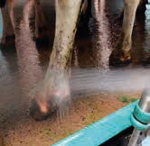 Miniatyrbilde: Intra Hoof-fit Spray 10L / 20L