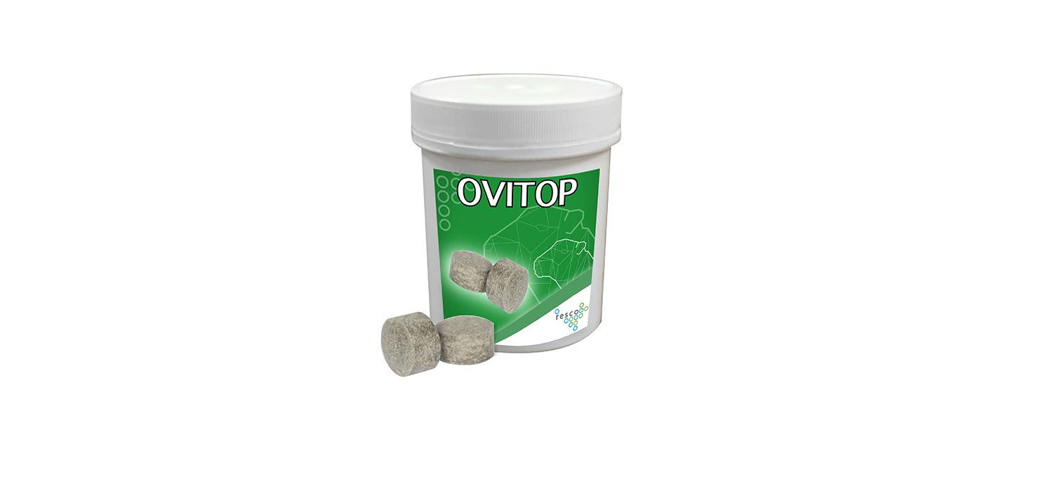 OviTop Bolus Sau og Geit